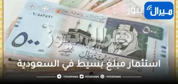 استثمار مبلغ بسيط في السعودية