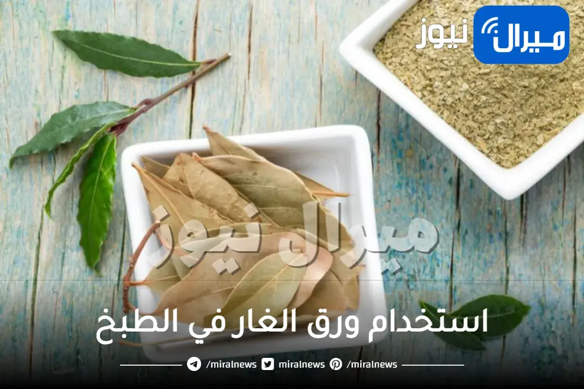 استخدام ورق الغار في الطبخ