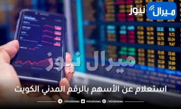 استعلام عن الأسهم بالرقم المدني الكويت