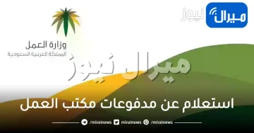 استعلام عن مدفوعات مكتب العمل