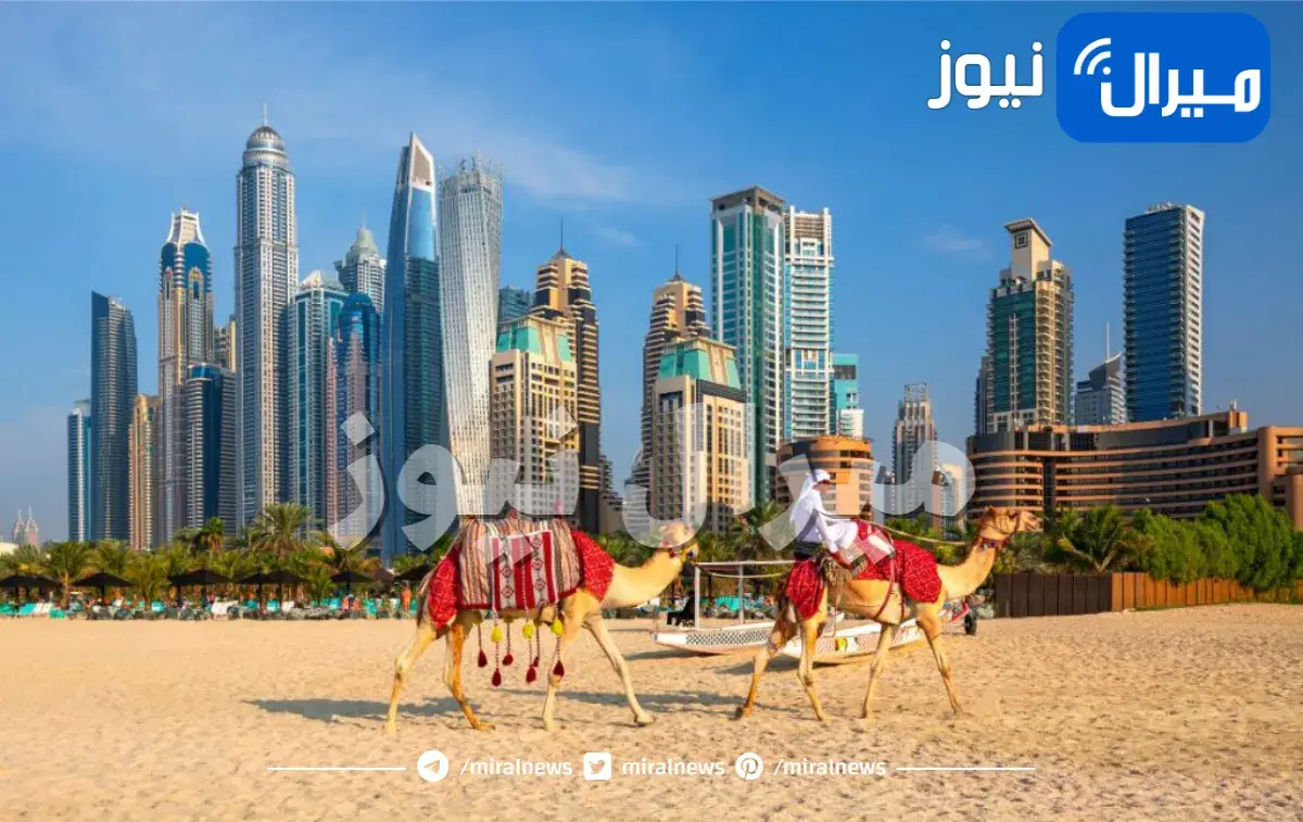 افضل الاماكن في دبي في الصيف والشتاء