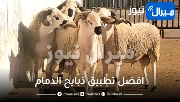 افضل تطبيق ذبايح الدمام