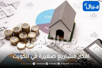 افكار مشاريع صغيرة في الكويت مضمونة الأرباح