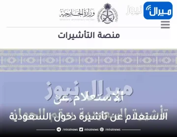 الاستعلام عن تأشيرة دخول السعودية برقم الجواز