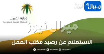 الاستعلام عن رصيد مكتب العمل برقم الهوية