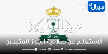 الاستعلام عن صلاحية الجواز للمقيمين