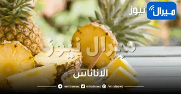 أهم فوائد اكل الاناناس لصحة الجسم