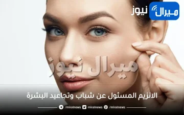الانزيم المسئول عن شباب وتجاعيد البشرة