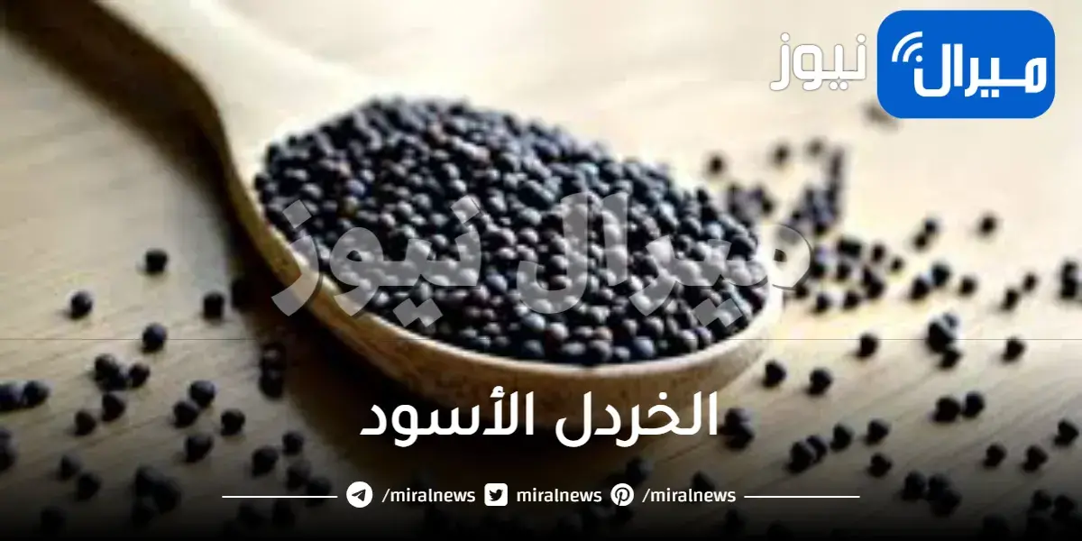 فوائد الخردل الأسود لتخسيس الجسم وتنحيفه ومعالجة مشاكل الشعر