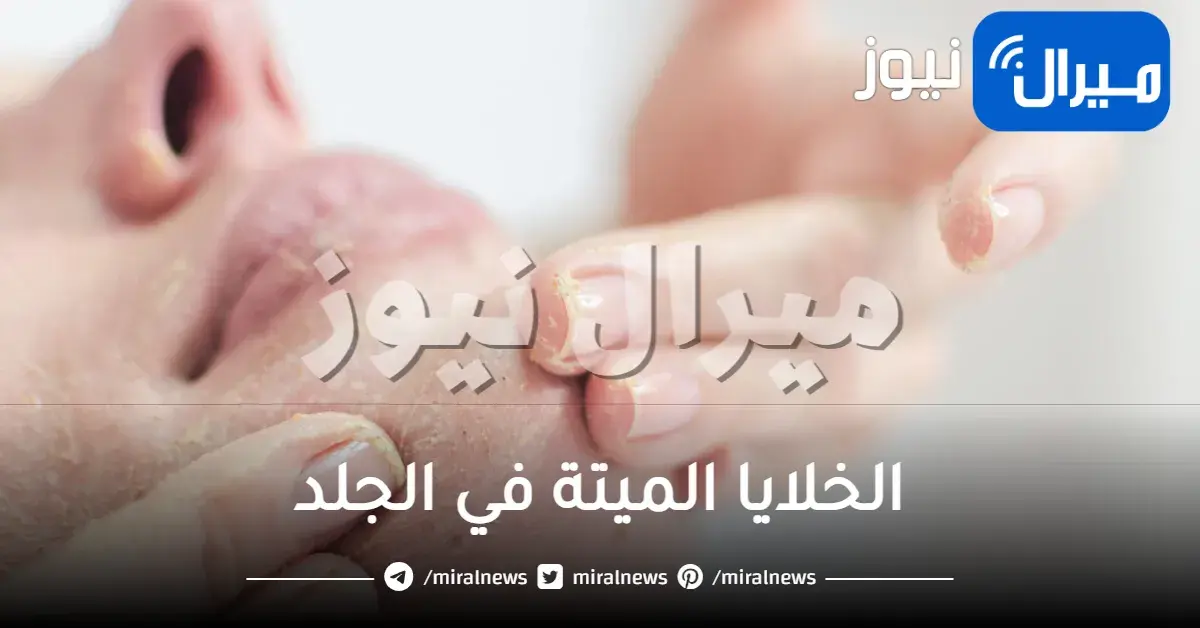 الخلايا الميتة في الجلد .. أسبابها وطرق التخلص منها