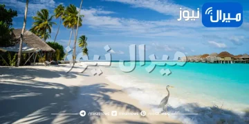 السياحة في جزر المالديف