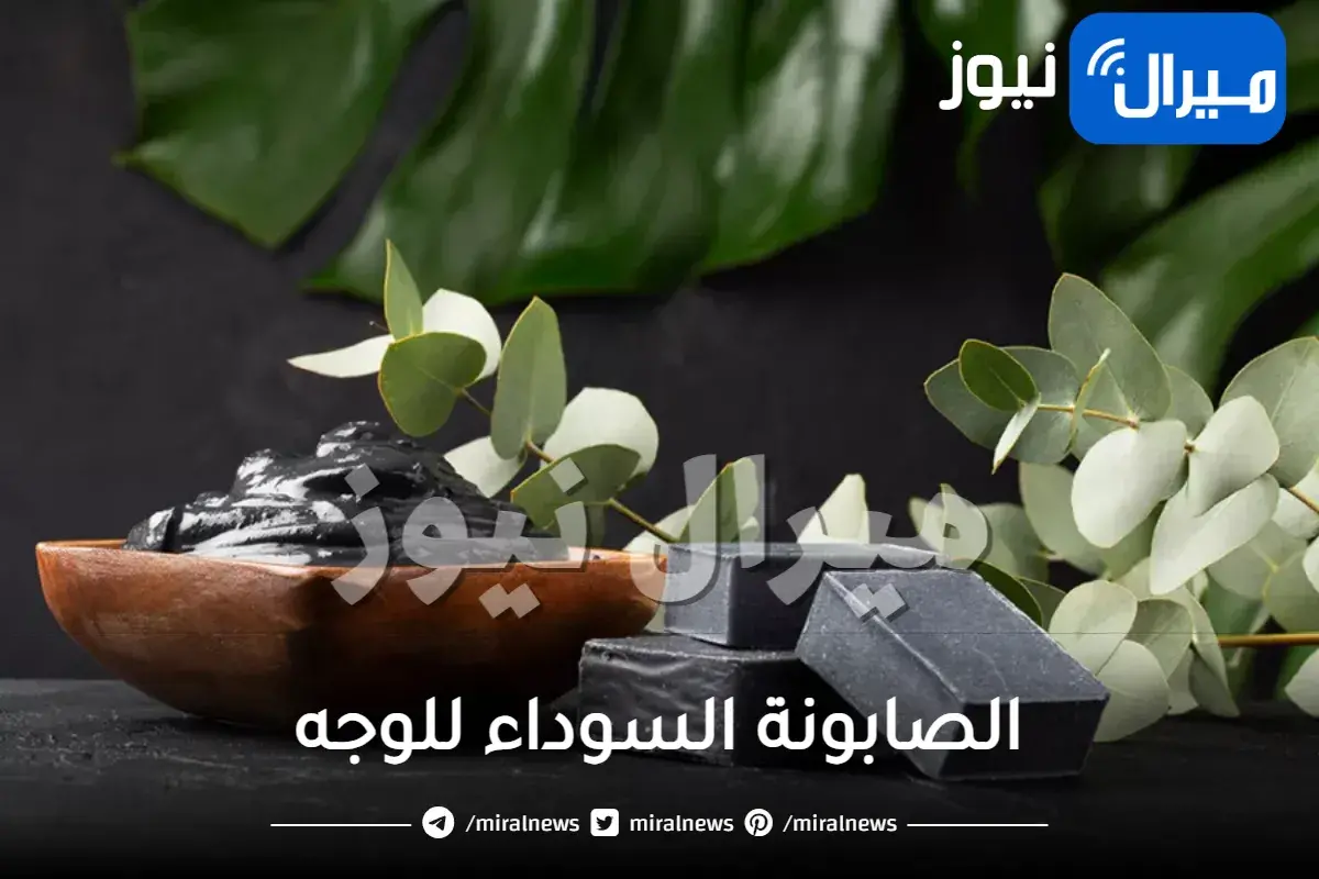 الصابونة السوداء للوجه