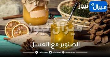 فوائد الصنوبر مع العسل للرجال والنساء وطريقة استخدامه