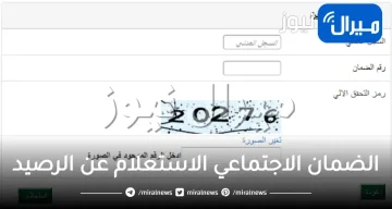 الضمان الاجتماعي الاستعلام عن الرصيد للمستفيدين