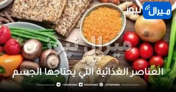 ما هي مصادر العناصر الغذائية التي يحتاجها الجسم