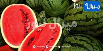 الفوائد الصحية لتناول البطيخ