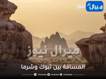 المسافة بين تبوك وشرما .. كم تبعد شرما عن تبوك