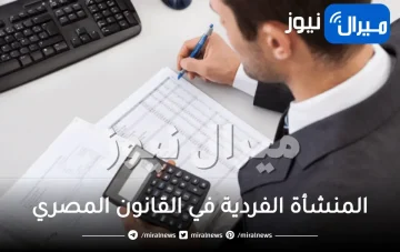 المنشأة الفردية في القانون المصري