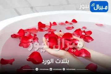 بتلات الورد