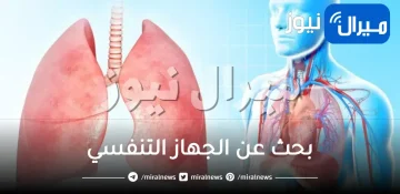 بحث عن الجهاز التنفسي doc