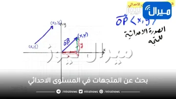 بحث عن المتجهات في المستوى الاحداثي