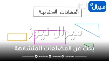 بحث عن المضلعات المتشابهة