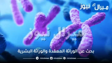 بحث عن الوراثة المعقدة والوراثة البشرية