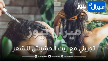 تجربتي مع زيت الحشيش للشعر .. فوائد عجيبة