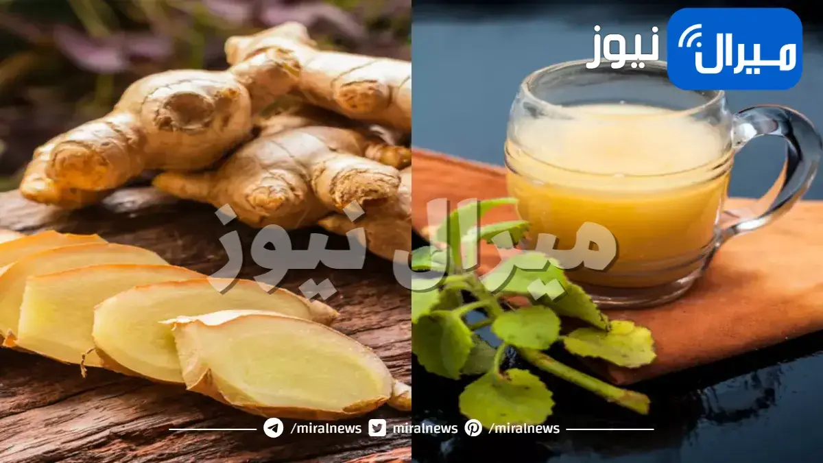 تخسيس الكرش بالزنجبيل