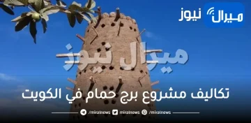 تكاليف مشروع برج حمام في الكويت دراسة جدوى