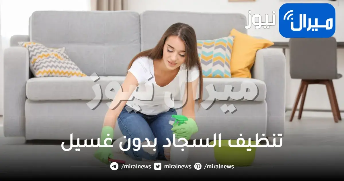 تنظيف السجاد بدون غسيل