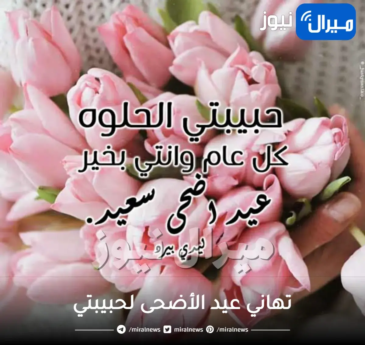 تهاني عيد الأضحى لحبيبتي