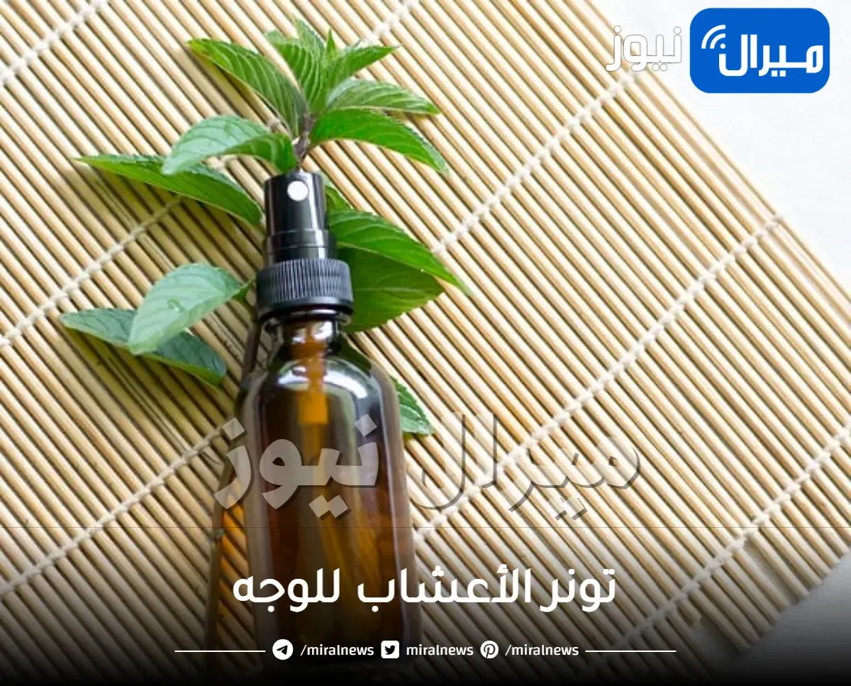 تونر الأعشاب للوجه: فوائده وطريقه تحضيره