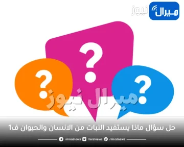 حل سؤال ماذا يستفيد النبات من الانسان والحيوان ف1