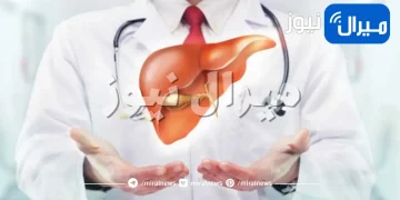 خطوات تطهير الكبد من كل السموم