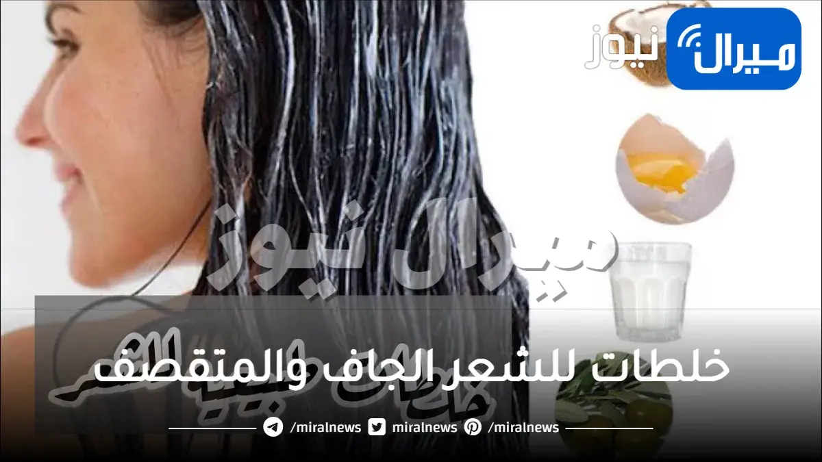 أفضل 7 خلطات للشعر الجاف والمتقصف