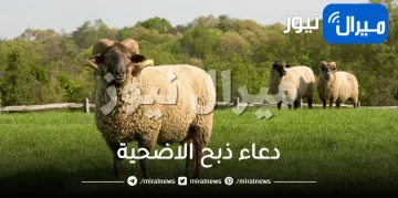 دعاء ذبح الاضحية من السنة صحيح