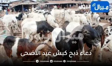 دعاء ذبح كبش عيد الاضحى الصحيح