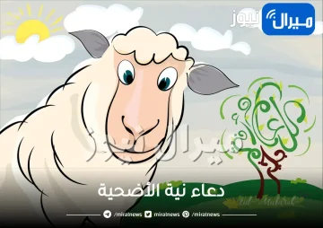 دعاء نية الأضحية الصحيح وشروط الاضحية والمضحي