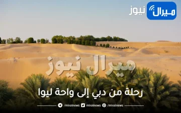 افضل برنامج رحلة من دبي إلى واحة ليوا