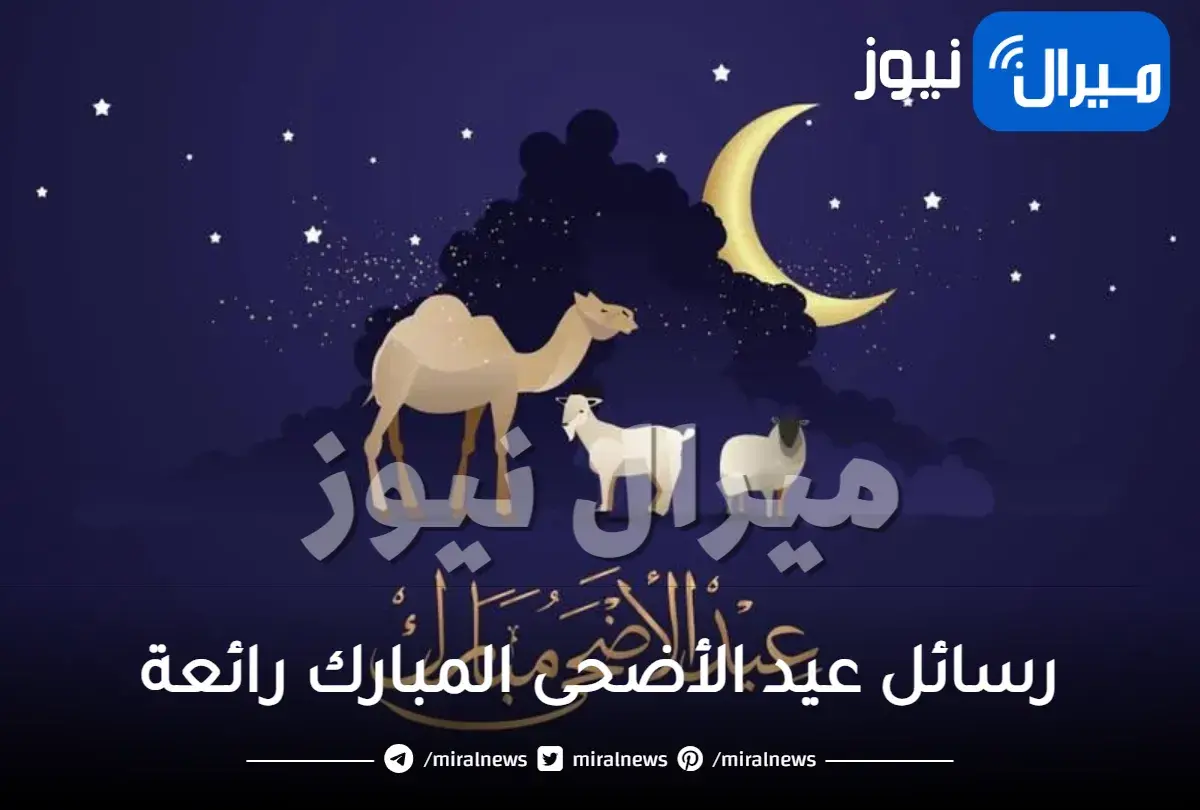 أجمل رسائل تهنئة عيد الأضحى .. عبارات راقية للأهل والأصدقاء جديدة ومميزة