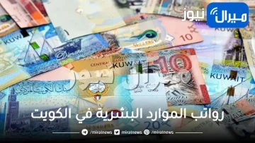 سلم رواتب الموارد البشرية في الكويت