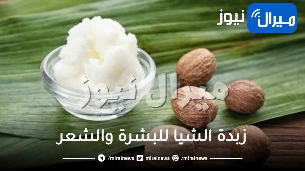 استخدامات زبدة الشيا للبشرة والشعر.. اكتشفي فوائد الشيا للبشرة والشعر وصحة الجسم