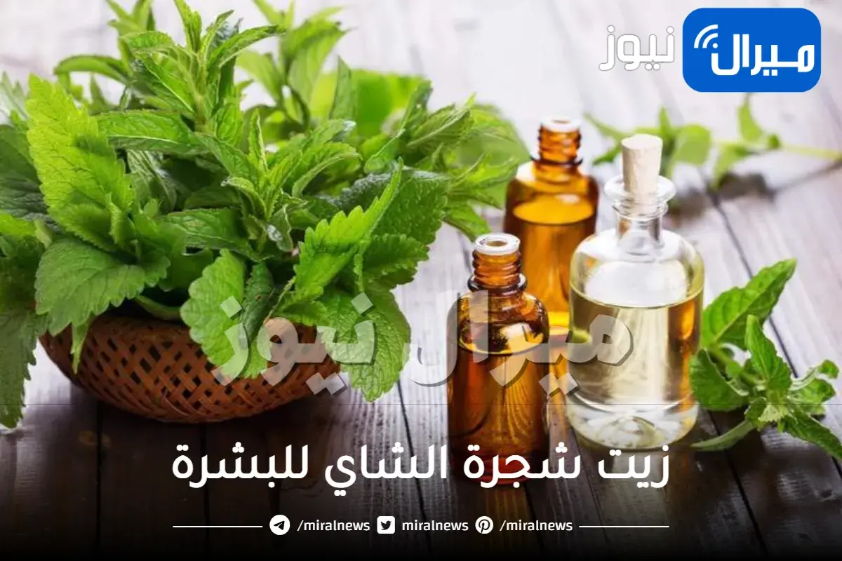 خلطات زيت شجرة الشاي للبشرة..بسيطة وسهلة لصحة بشرتك