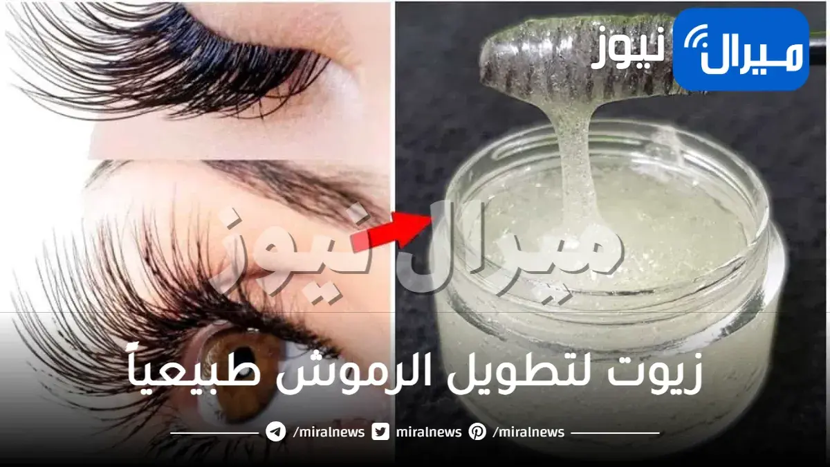 أفضل 8 زيوت لتطويل الرموش طبيعياً