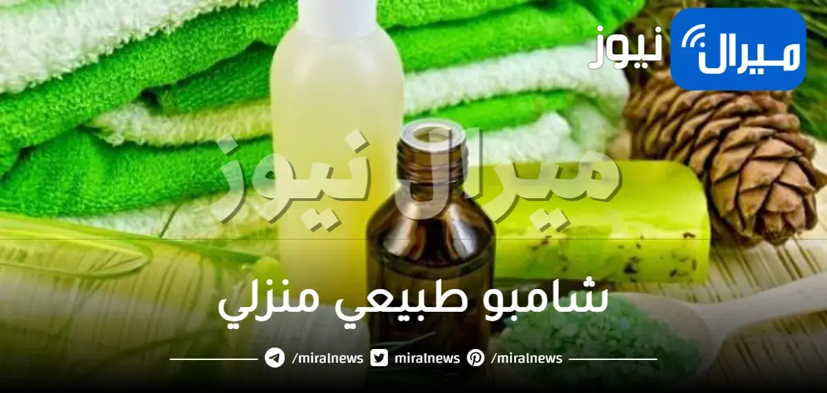 حضري هذا الشامبو الطبيعي منزلي الصنع الخال من الكيماويات