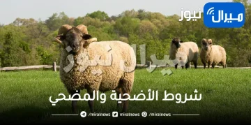 شروط الأضحية والمضحي في الإسلام