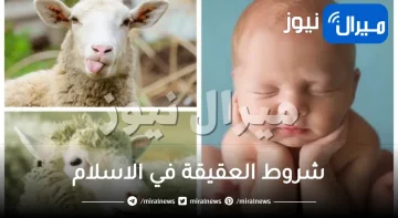 شروط العقيقة في الاسلام