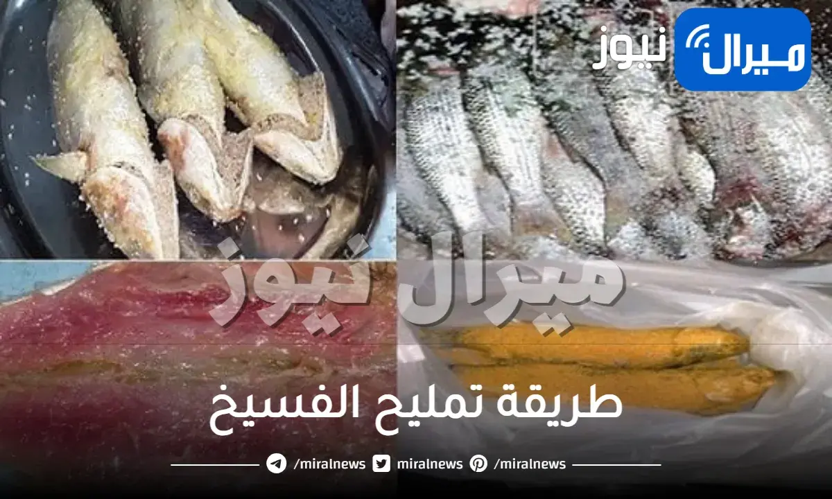 طريقة تمليح الفسيخ بطريقة صحية