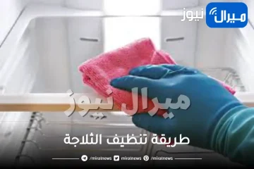 طريقة تنظيف الثلاجة من الروائح الكريهة بالخل